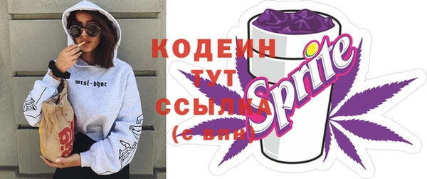 амф Покачи
